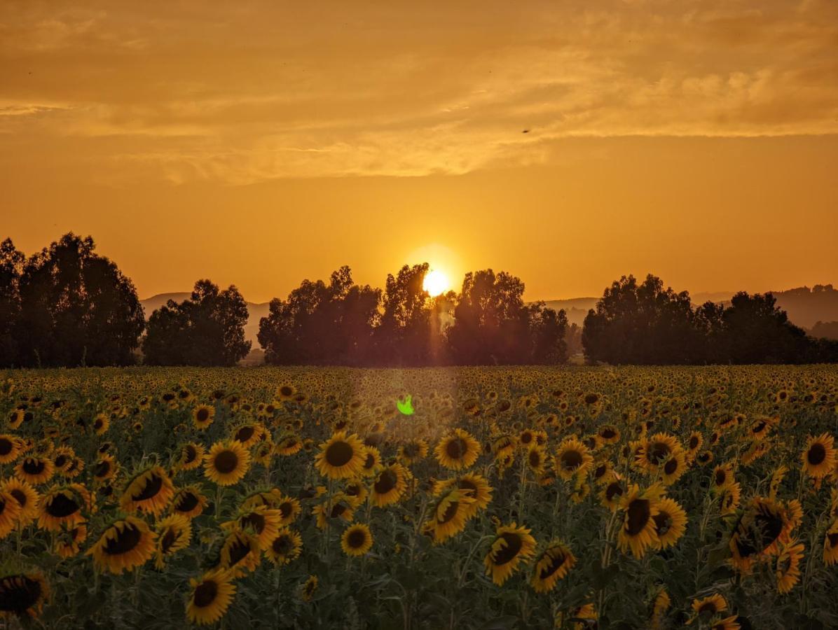 Poderedodici Farm stay Orbetello
